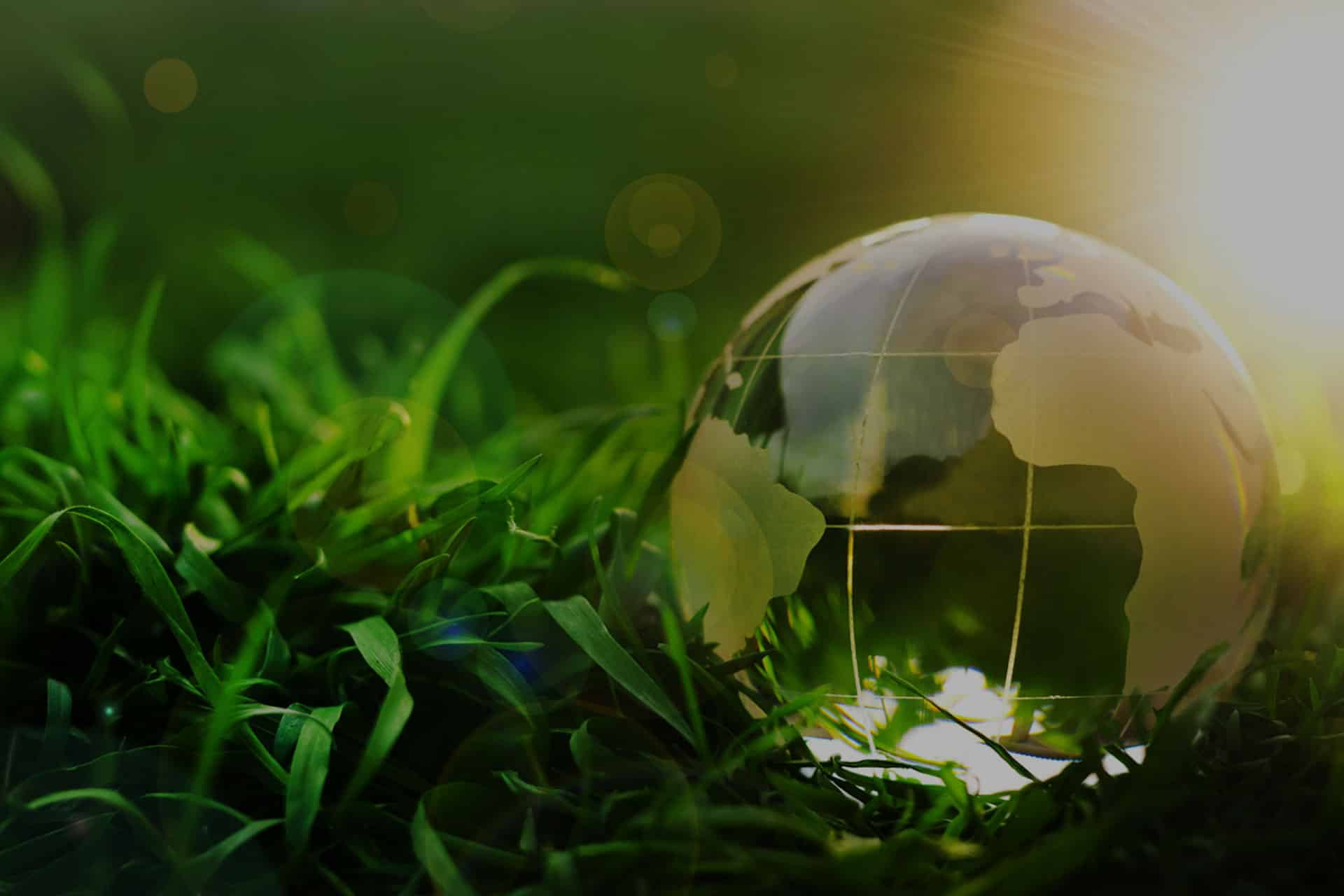 Le migliori soluzioni per la gestione e lo smaltimento dei rifiuti