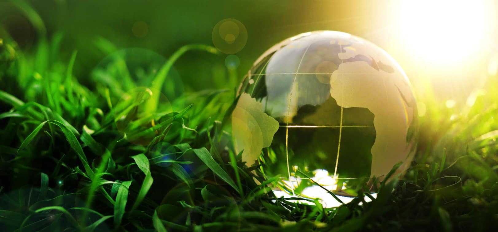 qodef-fullwidth-slider