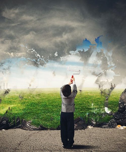 Blossom Srl - Ambiente